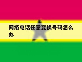 网络电话任意变换号码怎么办