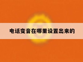 电话变音在哪里设置出来的