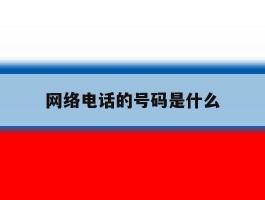 网络电话的号码是什么