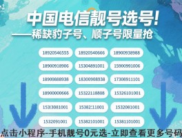 电信手机号网上选号官网查询
