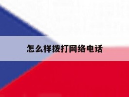 怎么样拨打网络电话