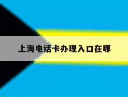 上海电话卡办理入口在哪