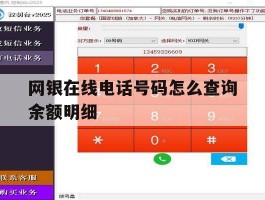 网银在线电话号码怎么查询余额明细
