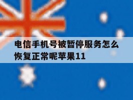 关于电信手机号被暂停服务怎么恢复正常呢苹果11的信息