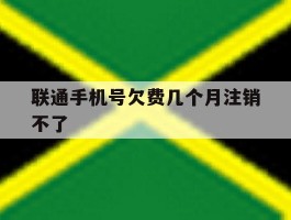 联通手机号欠费几个月注销不了