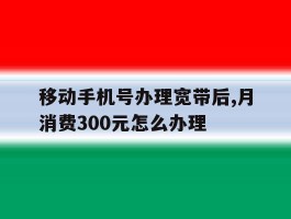 移动手机号办理宽带后,月消费300元怎么办理