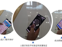包含移动手机号怎么改实名认证身份证号码信息的词条