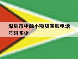 深圳市中融小额贷客服电话号码多少