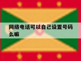网络电话可以自己设置号码么嘛