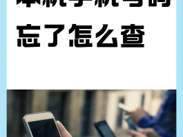 不用手机注册的网络电话号码