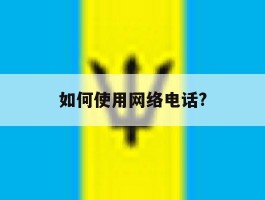 如何使用网络电话?
