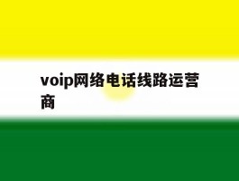 voip网络电话线路运营商