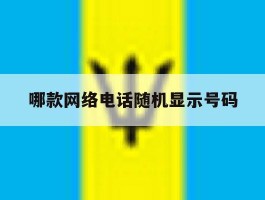 哪款网络电话随机显示号码