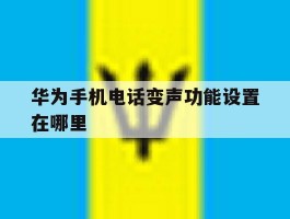 华为手机电话变声功能设置在哪里