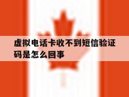 包含虚拟电话卡收不到短信验证码是怎么回事的词条