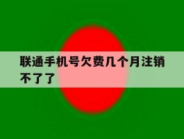 联通手机号欠费几个月注销不了了