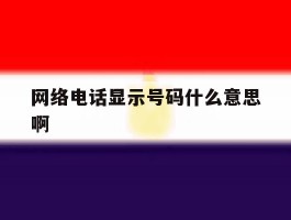 网络电话显示号码什么意思啊