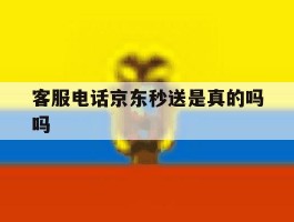 客服电话京东秒送是真的吗吗