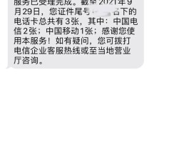 虚拟电话短信