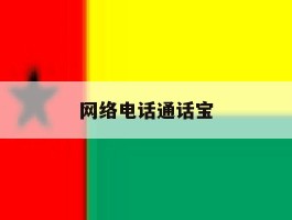 网络电话通话宝