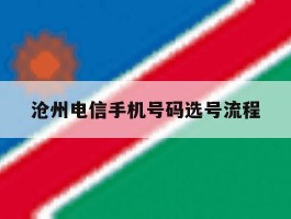 沧州电信手机号码选号流程